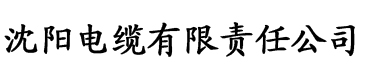 国产精品人成在线观看电缆厂logo